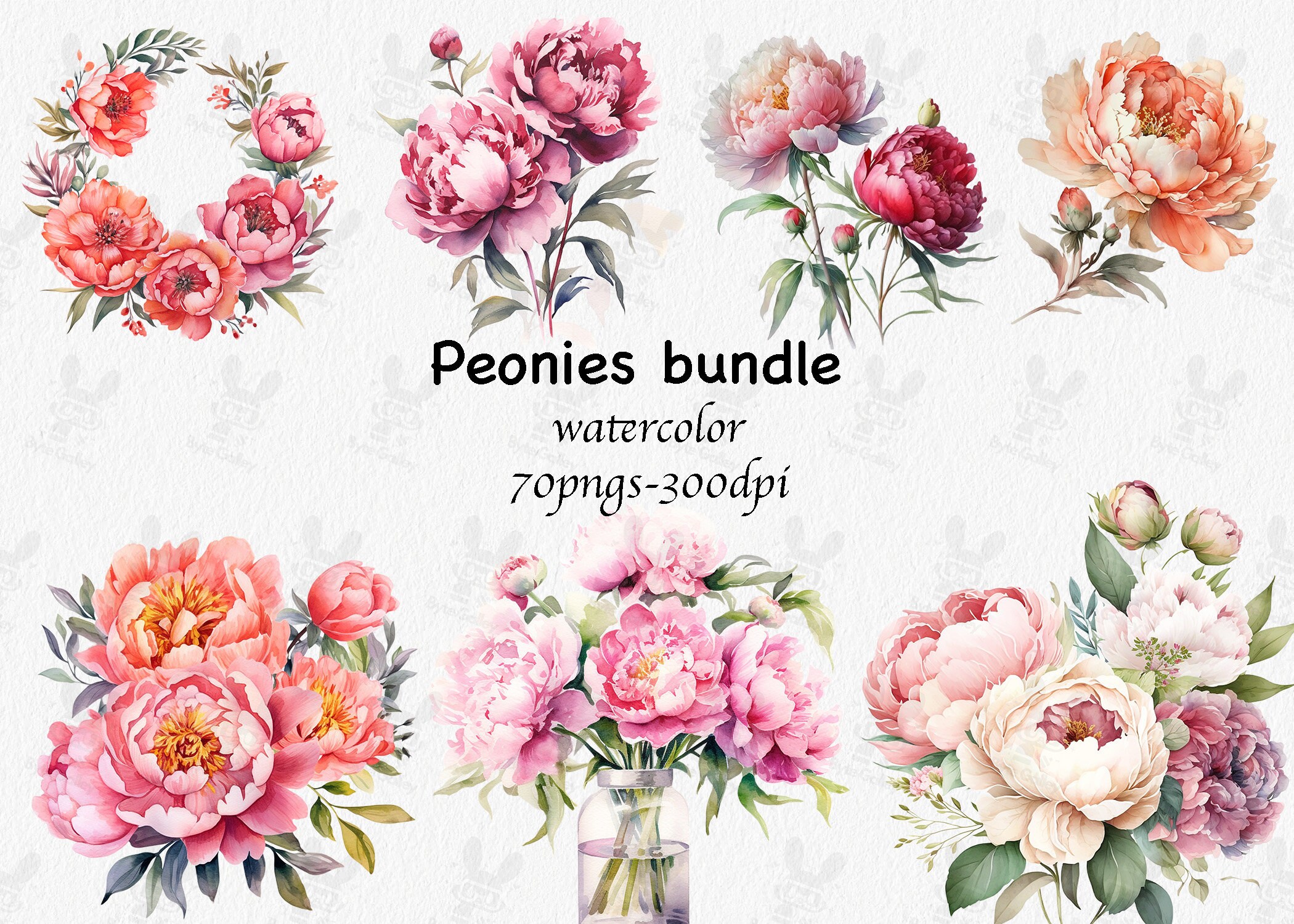High-Res Watercolor Peonies Clipart - PNG Floral Instant Download for Commercial Use