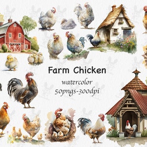 Aquarelle Chicken Clipart - poulets et poussins mignons, animal de ferme PNG format téléchargement instantané pour un usage commercial