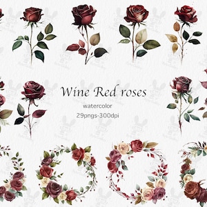 Clipart aquarelle roses de Bourgogne - roses rouges bordeaux en téléchargement immédiat au format PNG, usage commercial, fabrication de cartes, scrapbooking, journal indésirable