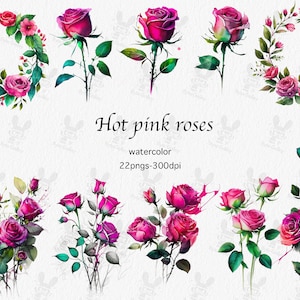 Aquarell Pink Rosen Clipart: 22 PNG Illustrationen (Kommerzielle Nutzung)