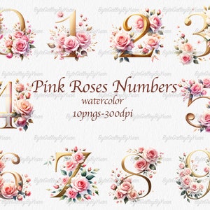 Watercolor Pink roses numbers clipart, commercial use, vector graphics, digital files, digital images, Home decor, high quality numbers PNG