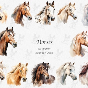 Pferd PNG | Pferd Clipart Set | Aquarell Pferd Sublimation Designs | Western Clipart | Tiere vom Bauernhof PNG | Clipart Bundle