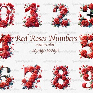 Watercolor Red roses numbers clipart, commercial use, vector graphics, digital files, digital images, Home decor, high quality numbers PNG