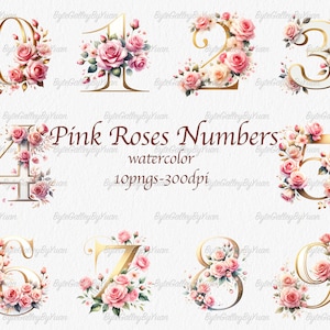 Watercolor Pink roses numbers clipart, commercial use, vector graphics, digital files, digital images, Home decor, high quality numbers PNG