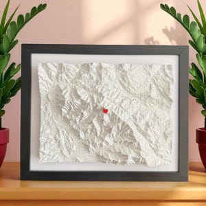 Puede incluir: Arte en papel texturizado blanco enmarcado con un alfiler en forma de corazón rojo. La obra de arte está en un marco negro y sobre un passe-partout blanco. Dos plantas verdes en macetas rojas flanquean la obra enmarcada.