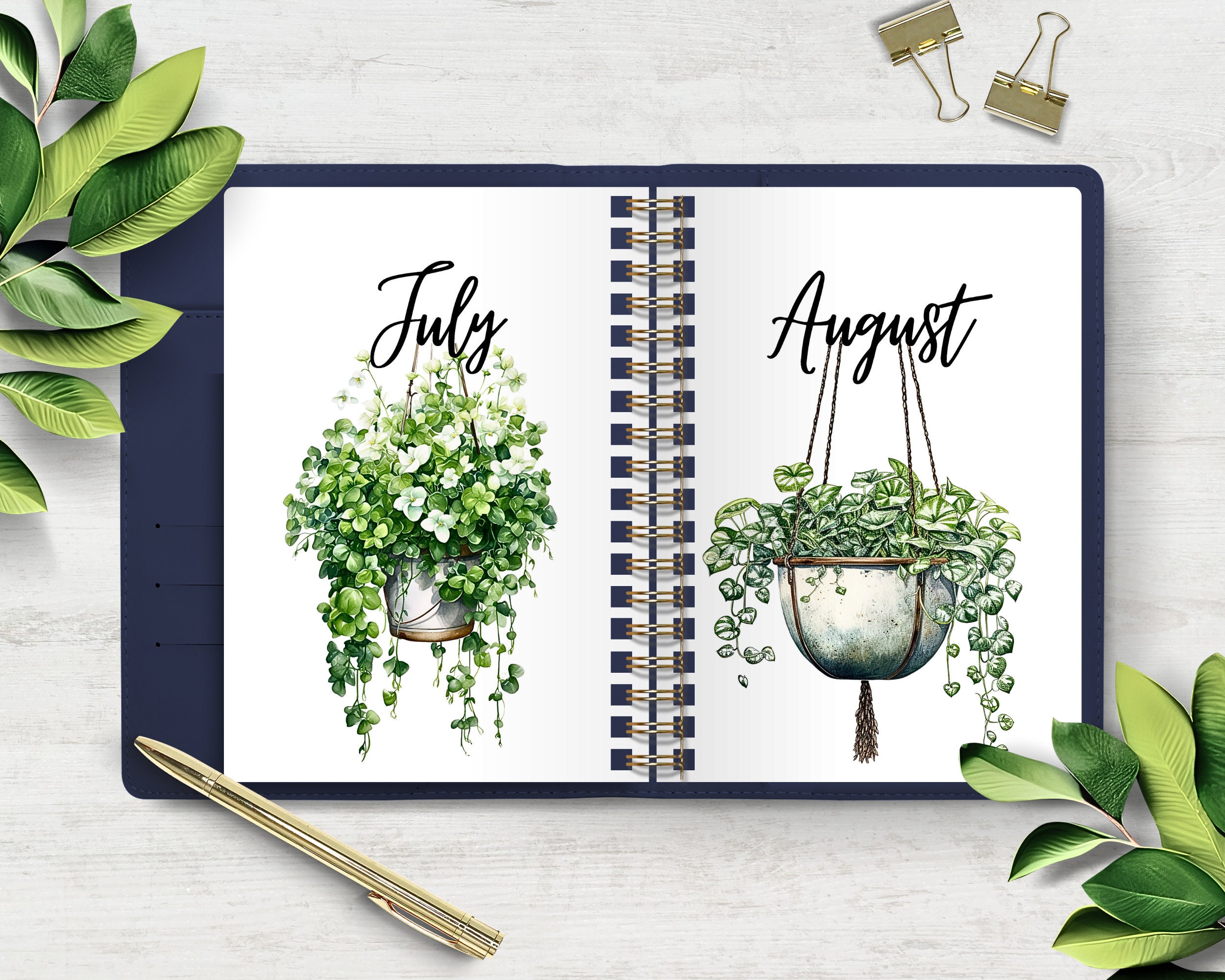 Monthly Dashboards Printable for Planner Hanging House Plants Monthly ...