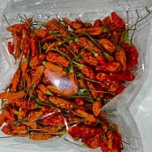 Può includere: Primo piano di un sacchetto di plastica pieno di peperoncini rossi secchi. I peperoncini sono piccoli e di colore arancione brillante.