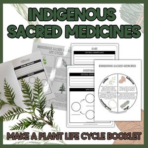 Four Sacred Medicines Plant Life Cycle Activity, Indigenous Outdoor Education