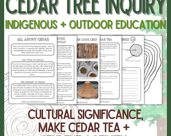 May include: A printable worksheet for students to learn about cedar trees. The worksheet includes information about the types of cedar trees, their cultural significance, and how to make cedar tea. The worksheet is titled "Cedar Tree Inquiry: Indigenous + Outdoor Education".