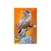 see more listings in the Animals and birds section