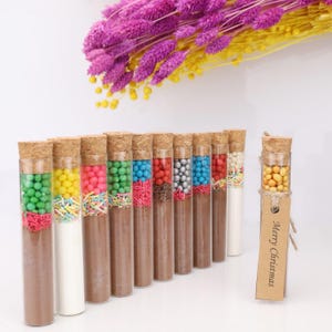 Hot Chocolate Favors for Guest, Winter Wedding Favors, Engagement Favor, Hot Cocoa, Thank You Bulk Gifts, White Chocolate in Test Tube