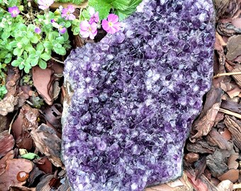 AMETHYST CLUSTER BED Q27 Natural purple quartz crystal