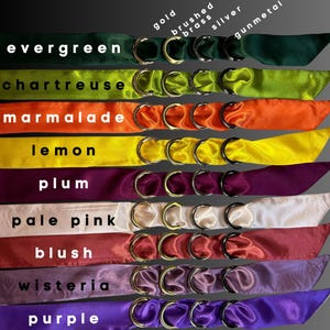 Puede incluir: Diez cintas para el pelo de sat&eacute;n en varios colores, incluyendo verde, chartreuse, marmalade, lim&oacute;n, ciruela, rosa p&aacute;lido, rubor, glicinia y morado. Cada cinta para el pelo tiene tres anillos dorados.