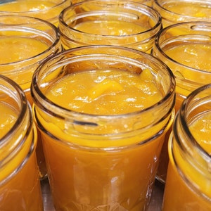 BUY 2 or more, RECEIVE 50% OFF Homemade Florida Organic Mango Jam and Mango Habanero Jam. Not an overly sweet jam with lots of mango flavor.