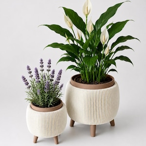 Op de afbeelding: Twee decoratieve plantenbakken met planten. De grotere plantenbak bevat een lepelplant met witte bloemen en groene bladeren. De kleinere plantenbak bevat lavendel. Beide plantenbakken zijn crèmekleurig met een geribbeld ontwerp en bruine rand, en staan op houten poten.