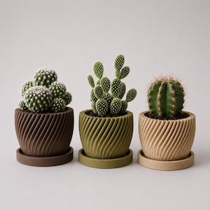 Op de afbeelding: Drie cactussen in spiraalvormige plantenbakken. De linker pot is donkerbruin met een ronde cactus. De middelste pot is olijfgroen met een schijfcactus. De rechter pot is beige met een ronde, geribbelde cactus. Elke pot heeft een bijpassende schotel.