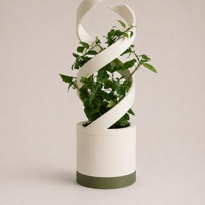 Op de afbeelding: Een witte cilindrische plantenpot met een hoge, spiraalvormige witte klimsteun die vanaf de rand omhoog loopt. Een groene bladplant groeit in het midden van de spiraal. De onderkant van de pot is voorzien van een effen olijfgroene band.
