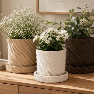Op de afbeelding: Drie cilindervormige keramische plantenbakken met een diagonaal geribbelde textuur, elk rustend op een bijpassende ronde schotel. De plantenbakken zijn beige, wit en donkerbruin van kleur en bevatten elk een groene plant met kleine witte bloemen.