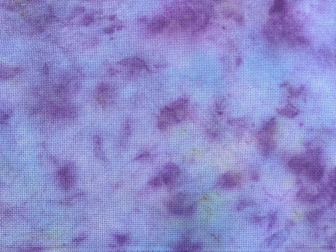 Mishap No. 2 Aida Cloth Etsy