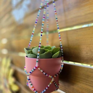 Puede incluir: Una maceta colgante con una planta suculenta. La maceta de cerámica rosa está suspendida por un colgador de macramé con cuentas. El macramé está hecho de cuentas transparentes con acentos coloridos. El fondo es una valla de madera.