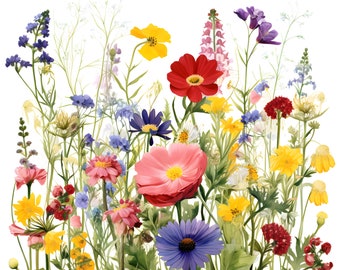 Colorful Flower Meadow Illustration - Vibrant Flowers - White Background - Botanical Art Print - Floral Wall Decor
