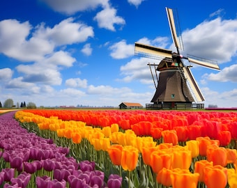 Colorful Tulip Fields Print - Old Windmill and Barn - Floral Wall Art - The Netherlands - Colorful Landscape - Floral Wall Art
