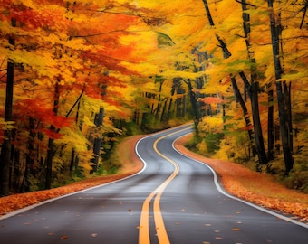 Autumn Road in Vermont - Vibrant Colors - Professional Photography Print - Nature Wall Art