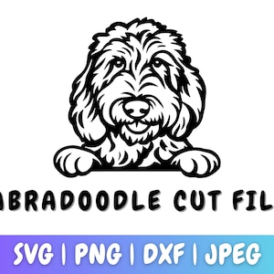 Labradoodle SVG, couper des fichiers, PNG DXF, Cricut, Silhouette