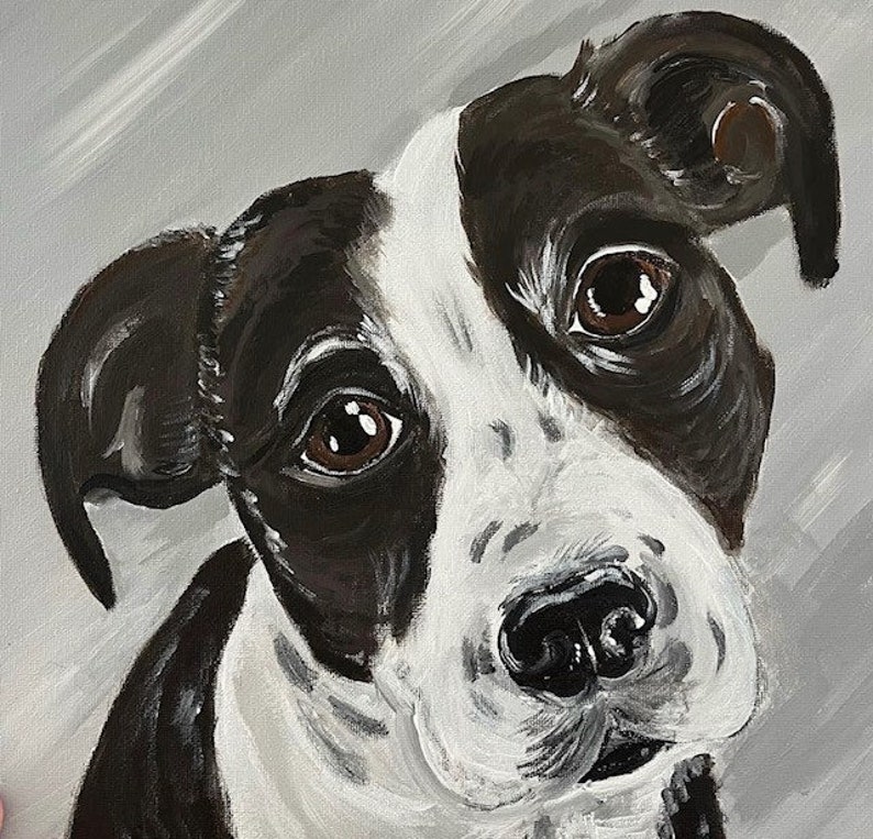 Pet Portraits Etsy