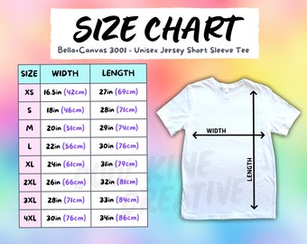 Bella Canvas 3001 METRIC and IMPERIAL Size Chart, BC3001 Unisex T-Shirt, White Tee on Rainbow Background, Inches and CM Size Chart
