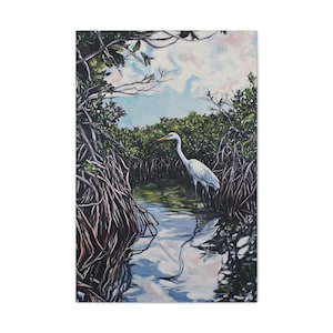Canvasafdruk mangrovereiger - kustvogel schilderij, muurkunst Florida Everglades