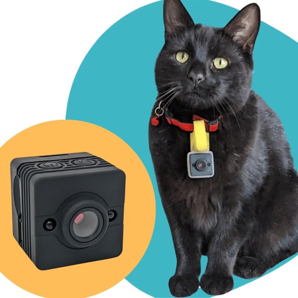 CollarCam: Camera for Cat Collars and Dog Collars | Waterproof Pet Camera | 1080p HD quality, Motion Detection, Night Vision & 32gb SD card