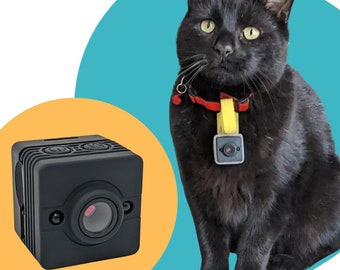 CollarCam: Cámara para collares para gatos y collares para perros / Cámara impermeable para mascotas / Calidad HD 1080p, Detección de movimiento, Visión nocturna y tarjeta SD de 32gb