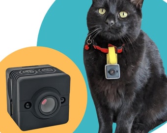 CollarCam: Camera for Cat Collars and Dog Collars | Waterproof Pet Camera | 1080p HD quality, Motion Detection, Night Vision & 32gb SD card