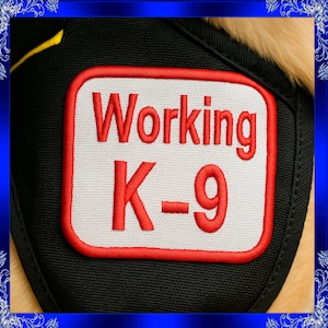 May include: Black K-9 dog vest with a white and red embroidered patch. The patch reads "Working K-9" in red capital letters. The vest is made of a durable fabric and has a yellow accent.