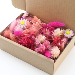 Kit fai da te con fiori secchi rosa / Piccoli fiori per artigianato / Inviti fai da te / Fiori per cornice / Realizzazione di candele in carta / Regalo per donna / Decorazioni rosa
