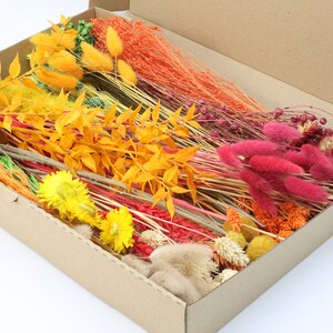 Scatola artigianale di fiori secchi - Colori autunnali / Kit di fiori secchi arancioni rossi e gialli / Decorazioni autunnali fai da te / Creazione di ghirlande / Fiori secchi misti ed erba