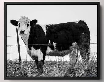 Zwart-witte koeprint: boerderijdecor Iowa
