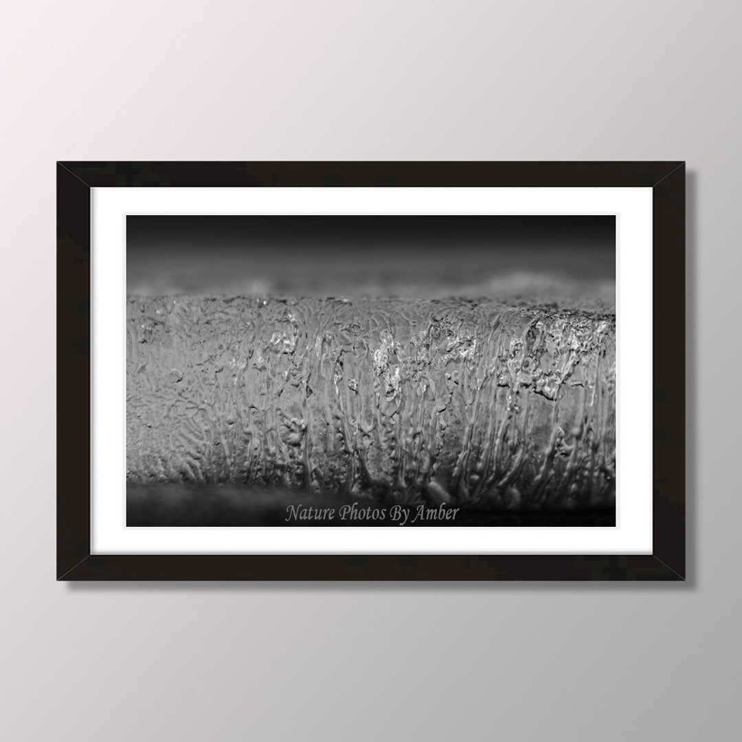 Black and White Minimalist Home Decor, Black and White Winter Theme ...
