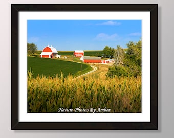 Midwest Iowa farm | giclee print | nature wall art | Iowa home decor