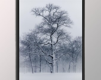 Black and White Winter Home Decor | Nature Giclee Print | Winter Tree Wall Art