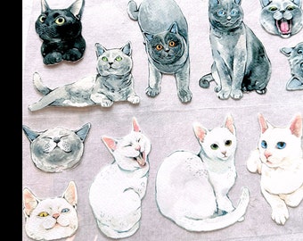 Cat art by Yuhuiru Studio - extra-long/extra-wide PET tape (300 cm long x 8 cm wide) - *SAMPLES*