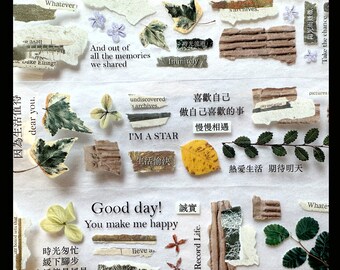 Halcyon Days by Gleam 安安 - PET tape *SAMPLES* - botanical collage good-vibes deco tape