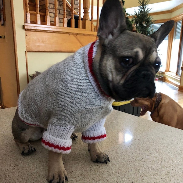 Modèle de pull pour chien en tricot SINGE CARLIN - Parfait pour les français aussi !