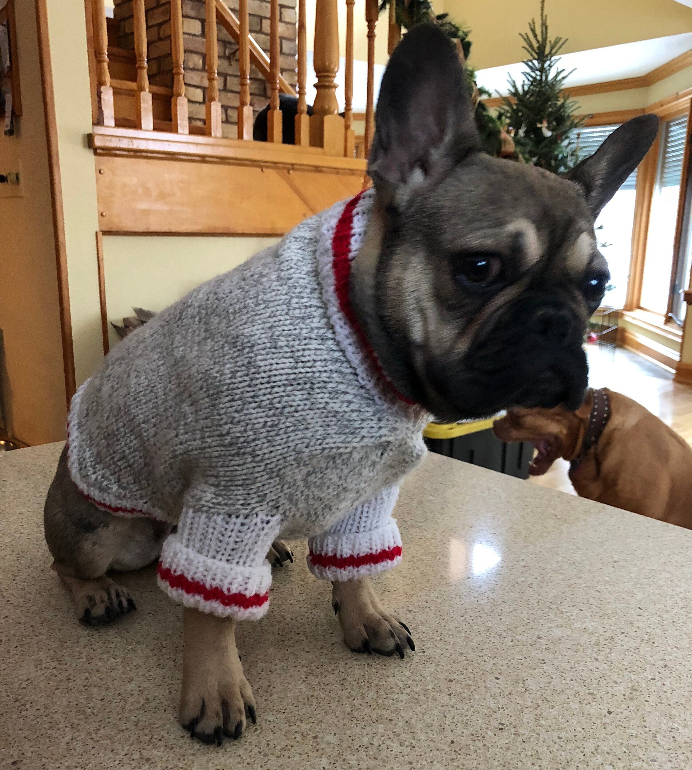 Knitted Sweater French Bulldog Puppy Sweaters Buy Knit Sweater For