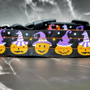 1 inch Wide Small cute and funny Laughing Pumpkin Wearing a Witch Hat, Halloween Dog Collar Cartoons.