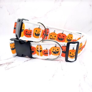 May include: White dog collar featuring a repeating pattern of orange jack-o'-lanterns with black facial features. The collar has a black plastic buckle and a silver metal D-ring for leash attachment. A festive accessory for Halloween.