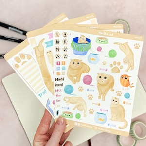 Kattenstickerset voor bullet journal, planner of kalender // 4 stickervellen als maandset // Ook afzonderlijk verkrijgbaar // Kawaii design