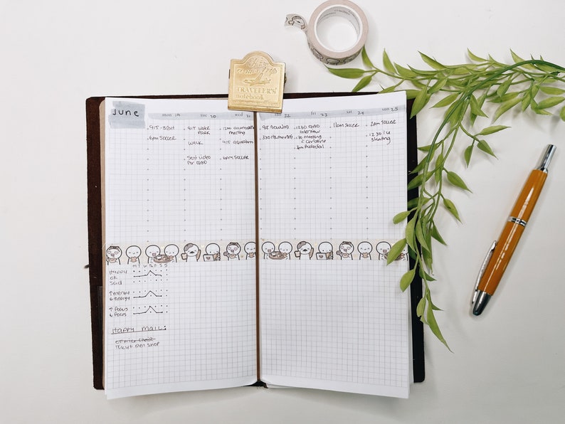 Common Planner Inspired TN STANDARD Insert - Etsy