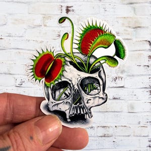 May include: A die-cut sticker featuring a detailed black and white illustration of a human skull with several vibrant green and red Venus flytrap plants growing out of the top. The skull has deep shading and defined teeth, while the plants have spiky edges.